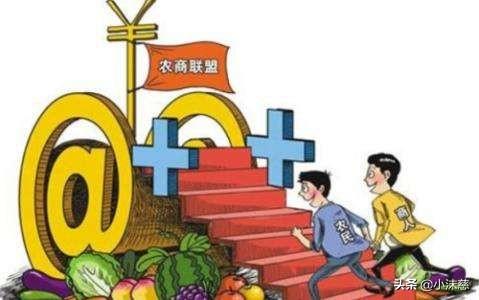 什么是新农业电商?你如何理解的?
