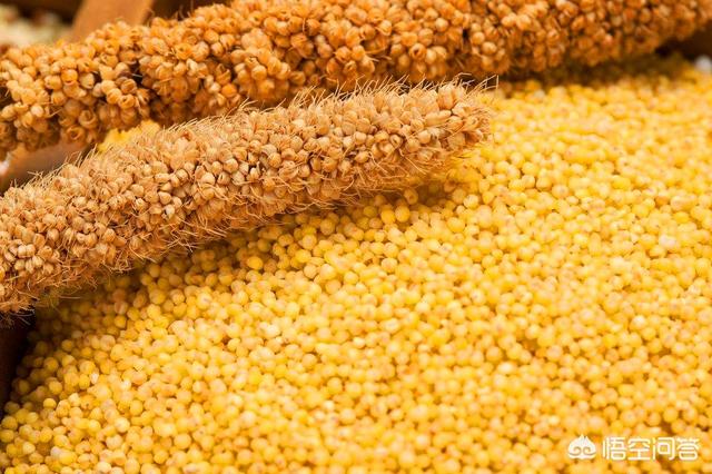 如何做好农产品小米的品牌和宣传？