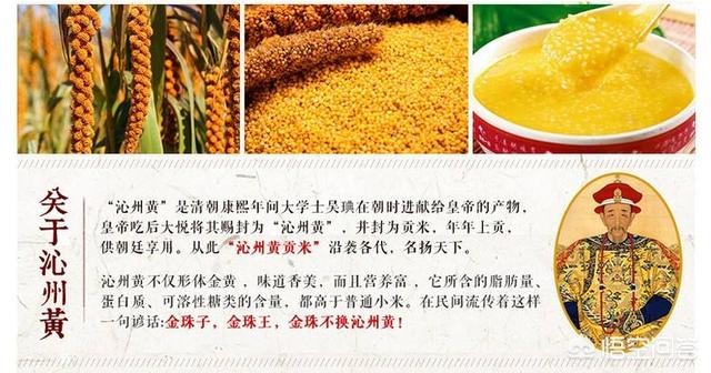 如何做好农产品小米的品牌和宣传？