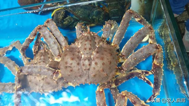 发展农村电子商务的意义是什么?