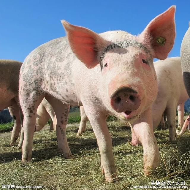 发展农村电子商务的意义是什么?