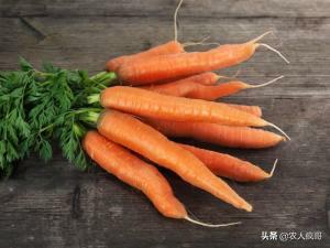 发展农村电子商务的意义是什么?