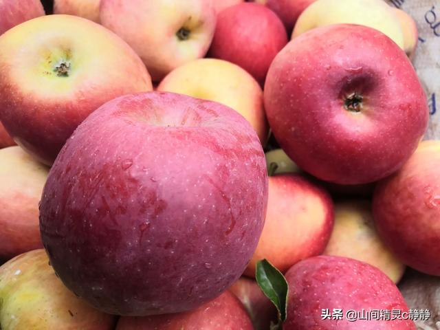 果农与电商如何合作共赢？