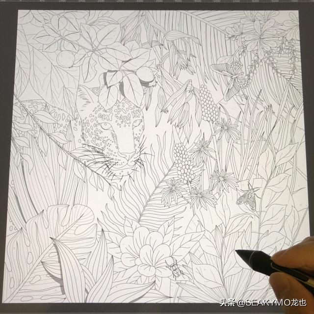 学电商设计需要什么基础吗？