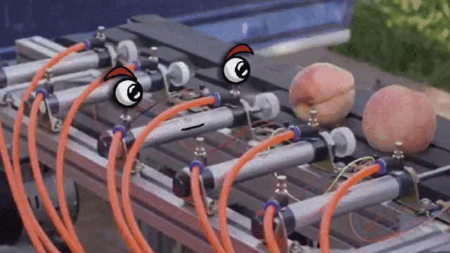 我是沂蒙山人,老家桃子众多,每年多滞销,怎么才能通过电商做起来?