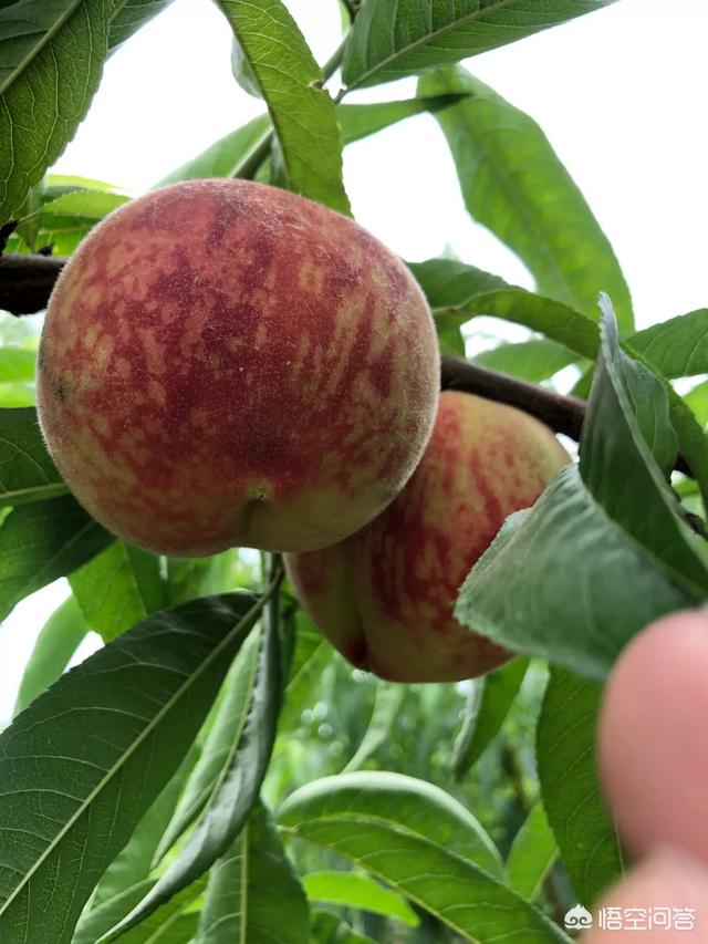 原来做电商的，现在改行做外贸合适吗？