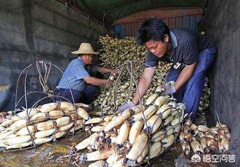 怎么能联系上农产品的收购商或电商？