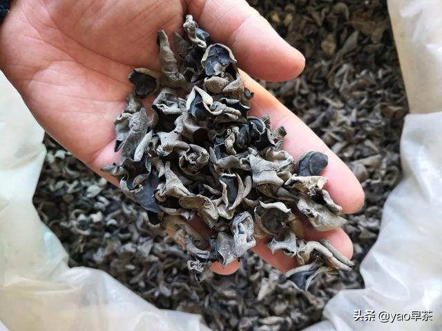 食用菌在产业扶贫中的重要作用体现在哪些方面？