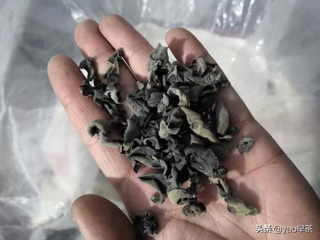 食用菌在产业扶贫中的重要作用体现在哪些方面？