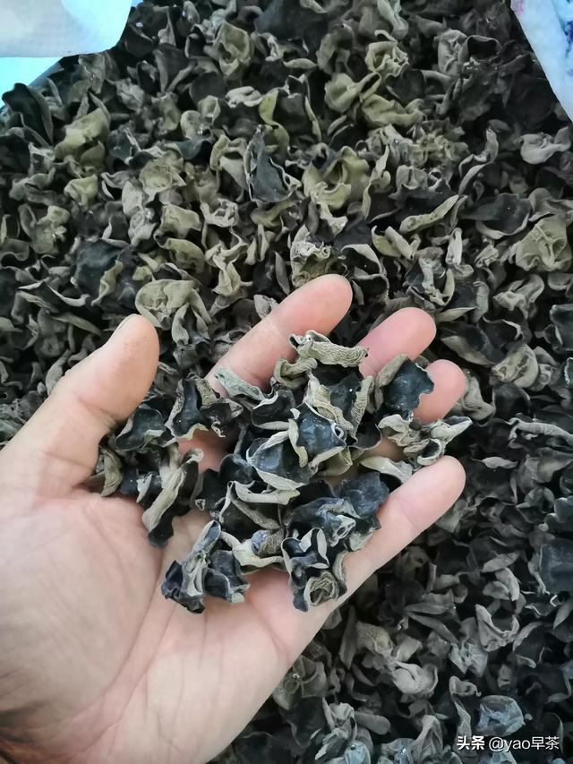 食用菌在产业扶贫中的重要作用体现在哪些方面？