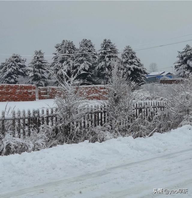 食用菌在产业扶贫中的重要作用体现在哪些方面？
