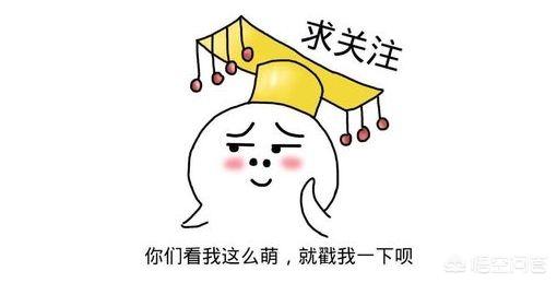 淘宝上的直通车到底是什么意思？刚做淘宝店的在哪里找直通车？