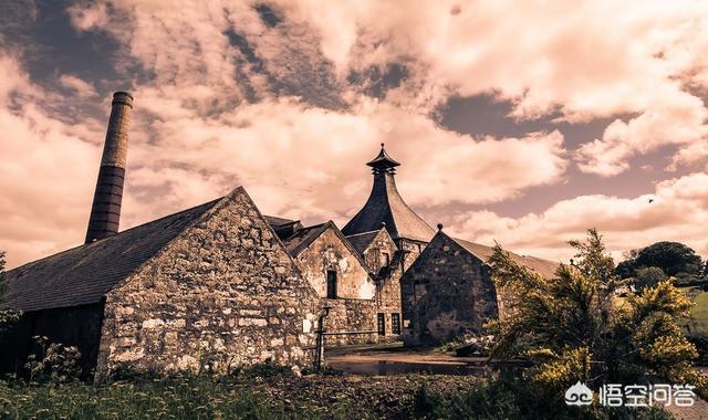 为什么单一纯麦威士忌越来越受欢迎？