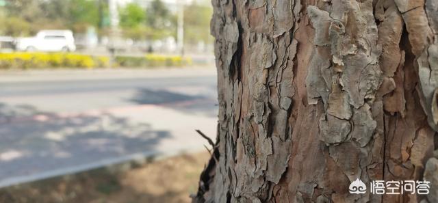 现在电商平台红火的年代，做同城电商有没有出路？