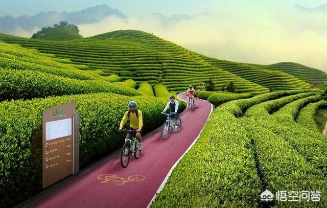 农村电商和农产品如何完美地结合在一起?