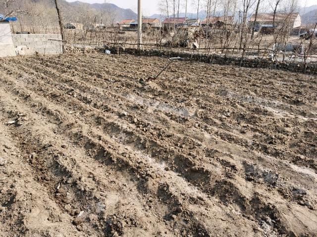 农民做电商的困难有哪些?