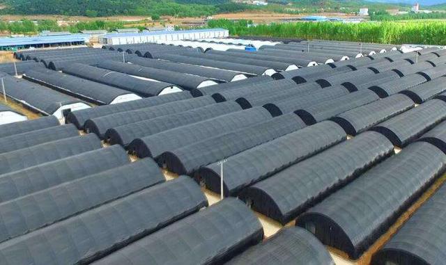 农民做电商的困难有哪些?