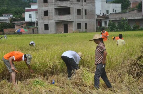 如何合理利用新媒体资源助力农村发展？