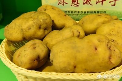 农村电商网店如何快速打造爆款农产品?