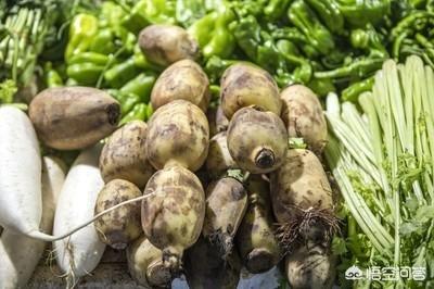 农村电商网店如何快速打造爆款农产品?