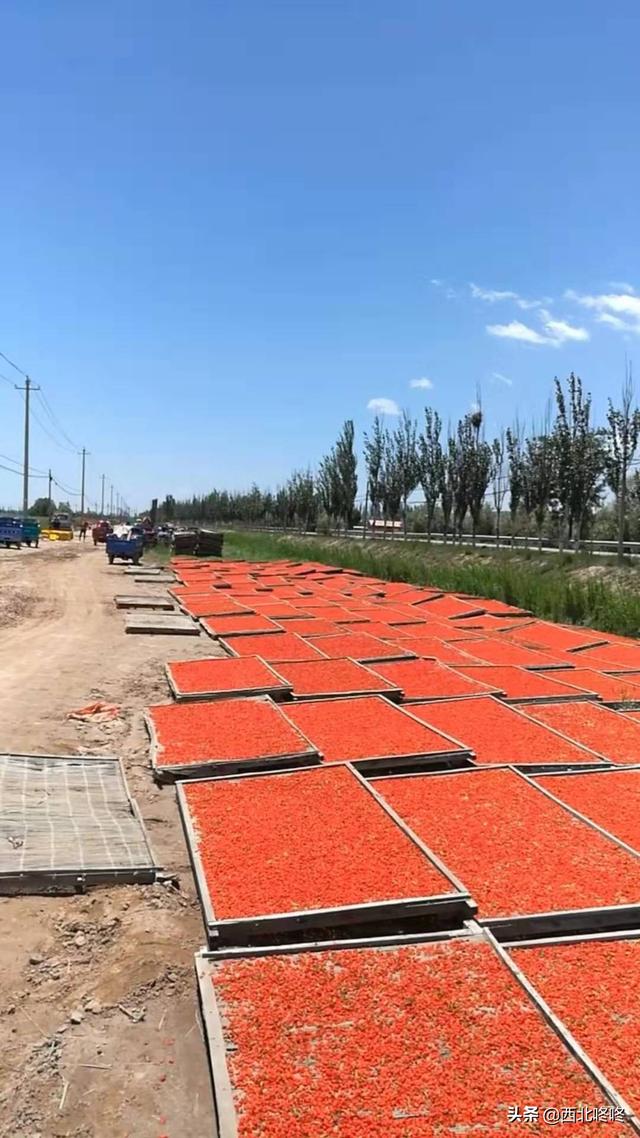 新型冠状病毒对电商造成怎样的影响?