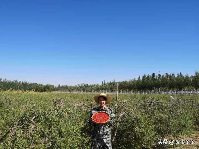 新型冠状病毒对电商造成怎样的影响?