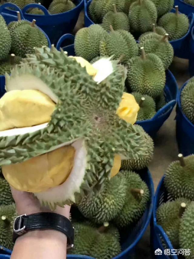 销量同比增长12倍,社区团购的能量如何影响电商行业?