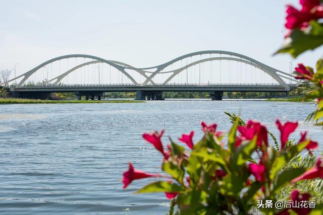 威海临港区发展潜力怎么样?