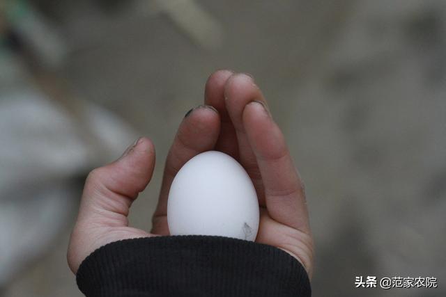 男朋友大学毕业想回老家(农村)做电子商务,靠谱吗?