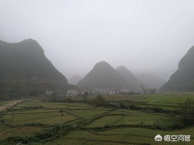 如何做好“农村电商”让“农产品”走上互联网实现脱贫致富?