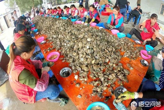 如何做好“农村电商”让“农产品”走上互联网实现脱贫致富?