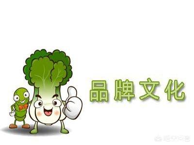 在发展农产品电商的同时，如何做好农产品品牌？