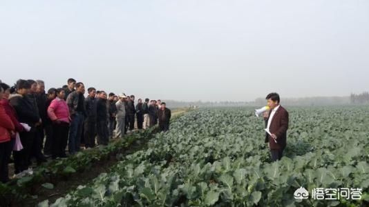 在发展农产品电商的同时，如何做好农产品品牌？