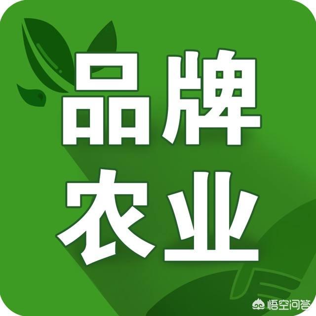 在发展农产品电商的同时，如何做好农产品品牌？