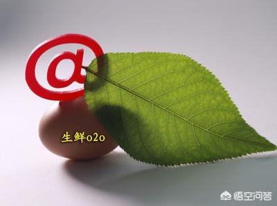 如何建立生鲜电商的核心竞争力？未来生鲜电商行业的壁垒在哪？