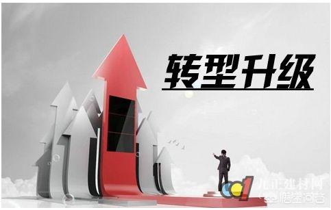 做了一个电商网站,但是销售额却没有增加,是什么原因?