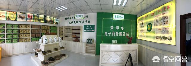 你家乡的农村电商服务站运营情况如何？