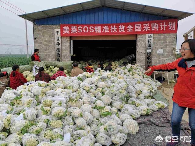 农村电商正在为农村带来哪些新变化?最好能举例说明有哪些?