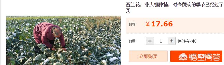 农村电商正在为农村带来哪些新变化?最好能举例说明有哪些?