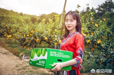 说说做农村电商都遇到了什么问题，没做好是因为快递费贵吗？