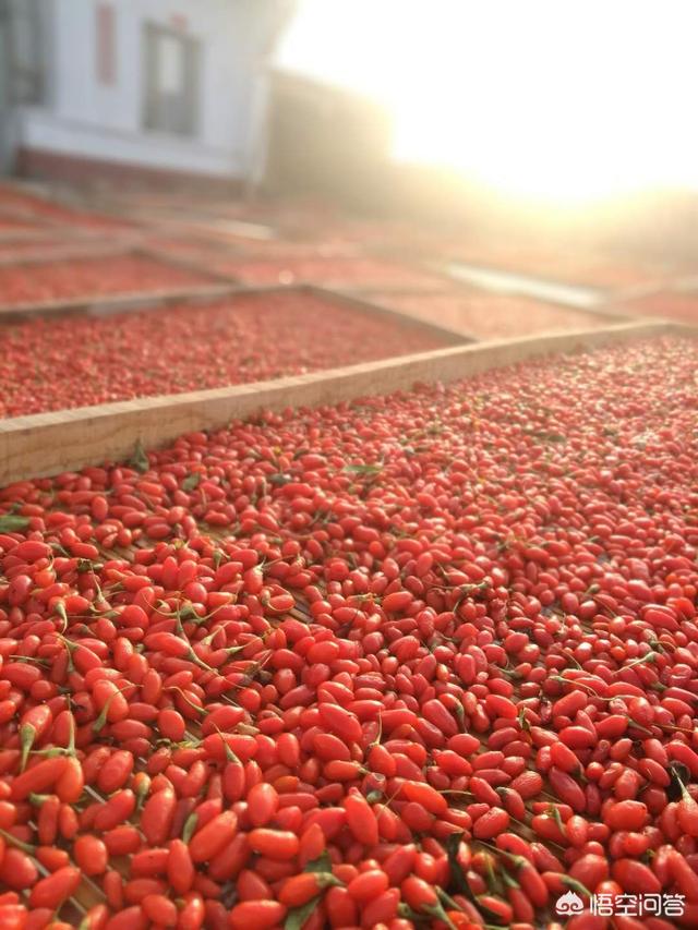 如何从零开始做农村电商？需要注意什么？