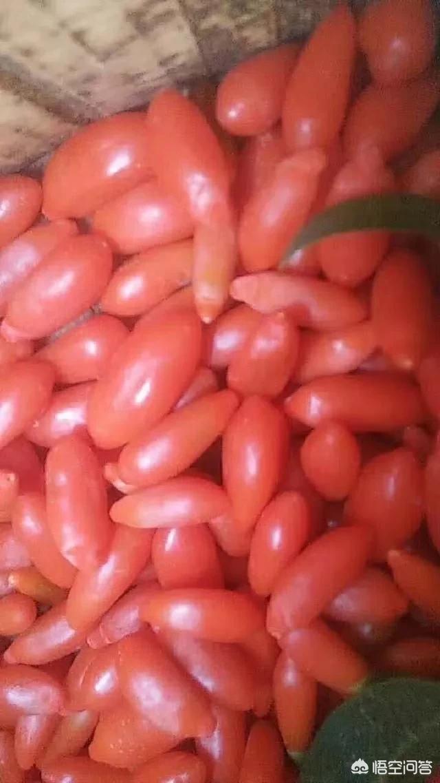 如何从零开始做农村电商？需要注意什么？