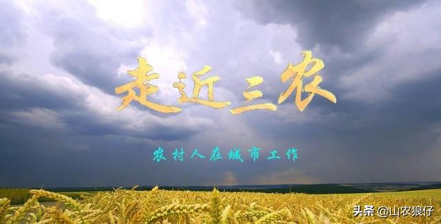电商与农业经济会擦出怎样的火花?