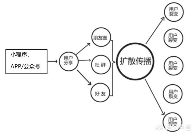 在移动互联网时代，传统电商和微商的发展方向在哪里？