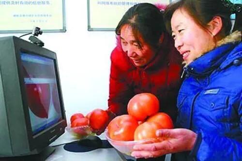 电商怎么做，我是个农村人，有桃园，李子，杏子，葡萄，樱桃等等？