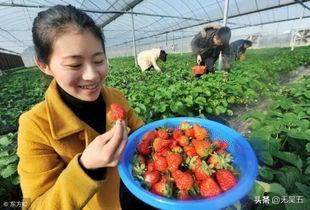 现在农村，有一些网红农产品引来大咖网红等扎堆进行电商销售，对此你有什么看法？