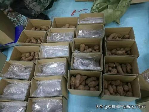 疫情当前，是电商农业最好的发展时机吗？