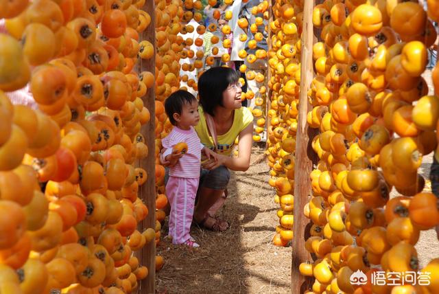 广西到底都盛产哪些水果？