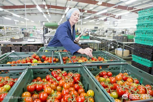 网上很多文章说是电商摧毁了实体，真的是这样吗？