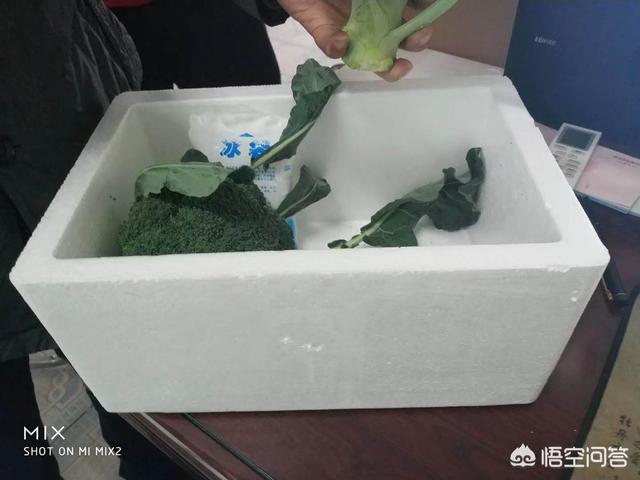 做农村电商，农特产快递费很贵吗？